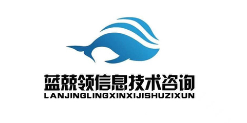 藍兢領 信息技術咨詢領域的杰出專家
